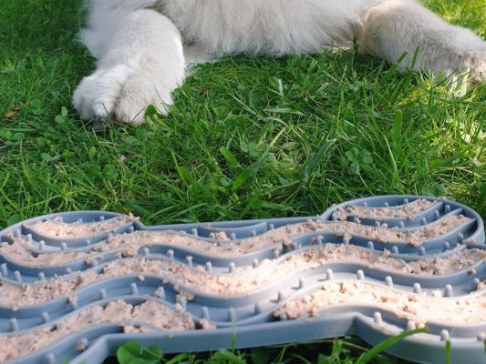 mata do lizania dla psa