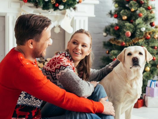 Bezpieczne święta dla Twojego psa