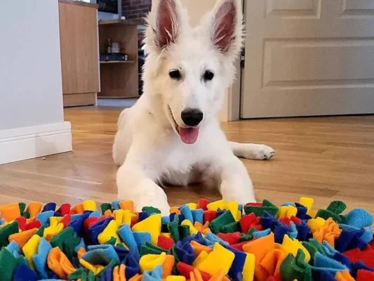 polski producent mat węchowych